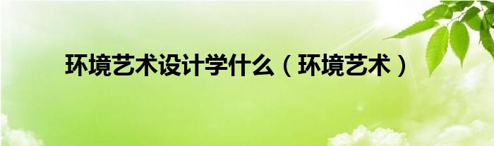 环境艺术设计学什么(环境艺术)