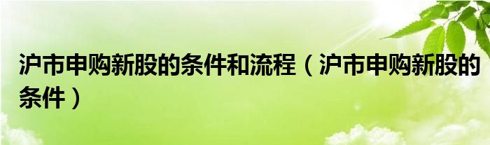 沪市申购新股的条件和流程（沪市申购新股的条件）