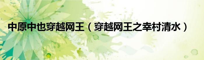 中原中也穿越网王(穿越网王之幸村清水)