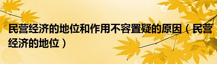 民营经济的地位和作用不容置疑的原因(民营经济的地位)