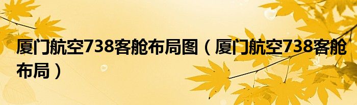 厦门航空738客舱布局图(厦门航空738客舱布局)