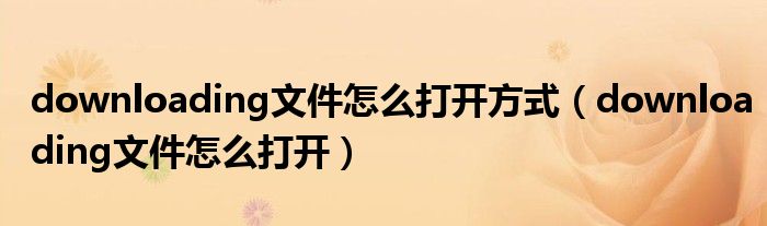 downloading文件怎么打开方式(downloading文件怎么打开)