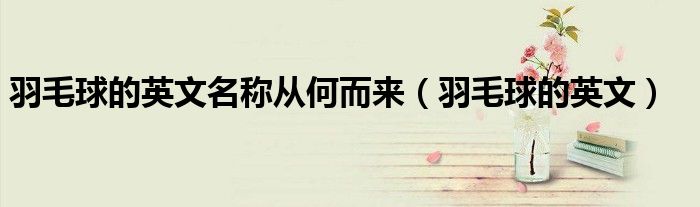羽毛球的英文名称从何而来(羽毛球的英文)