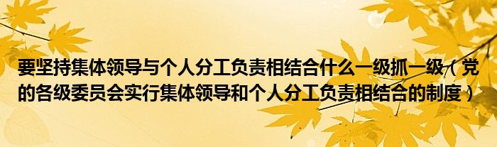 要坚持集体领导与个人分工负责相结合什么一级抓一级(党的各级委员会实行集体领导和个人分工负责相结合的制度)