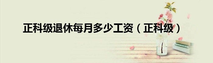 正科级退休每月多少工资(正科级)
