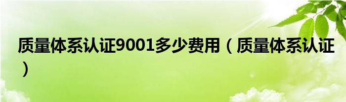 质量体系认证9001多少费用(质量体系认证)