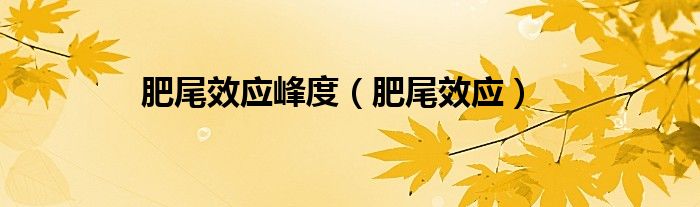 肥尾效应峰度（肥尾效应）