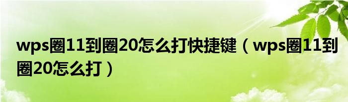 wps圈11到圈20怎么打快捷键(wps圈11到圈20怎么打)