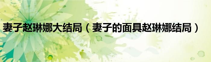 妻子赵琳娜大结局(妻子的面具赵琳娜结局)