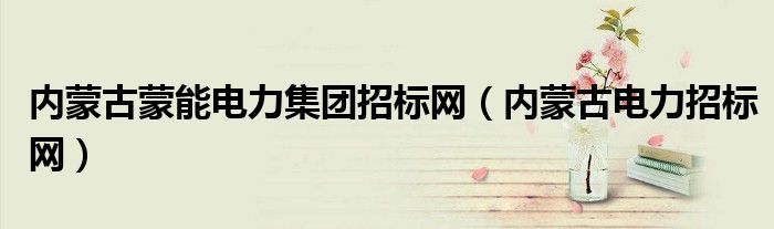 内蒙古蒙能电力集团招标网(内蒙古电力招标网)