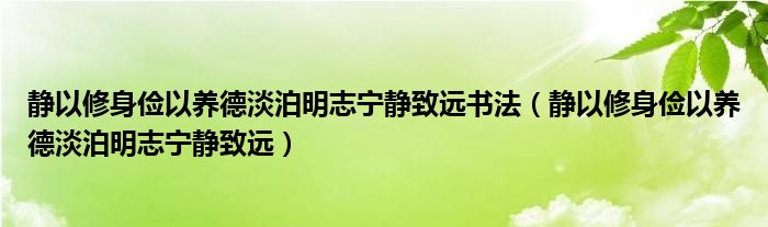 静以修身俭以养德淡泊明志宁静致远书法(静以修身俭以养德淡泊明志宁静致远)