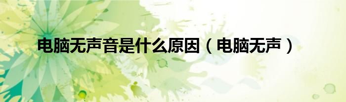 电脑无声音是什么原因(电脑无声)