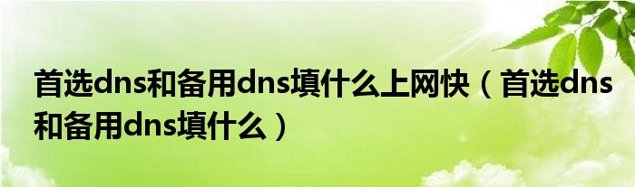 首选dns和备用dns填什么上网快（首选dns和备用dns填什么）