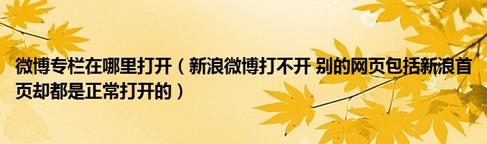 微博专栏在哪里打开(新浪微博打不开 别的网页包括新浪首页却都是正常打开的)