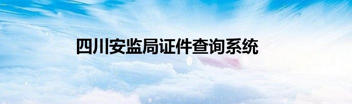 四川安监局证件查询系统