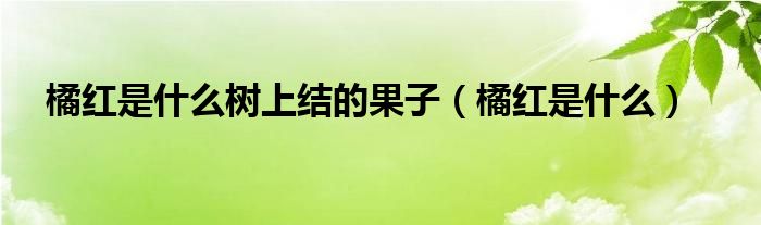 橘红是什么树上结的果子(橘红是什么)