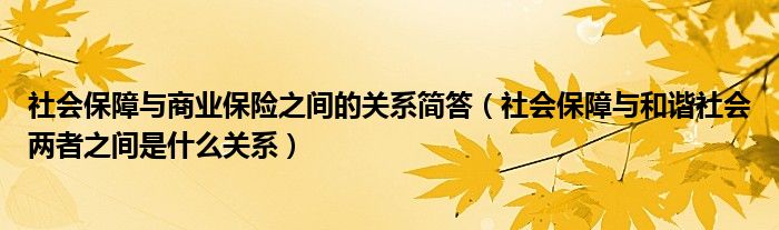 社会保障与商业保险之间的关系简答(社会保障与和谐社会两者之间是什么关系)