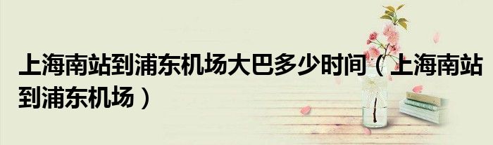 上海南站到浦东机场大巴多少时间(上海南站到浦东机场)