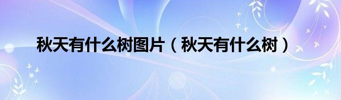 秋天有什么树图片(秋天有什么树)