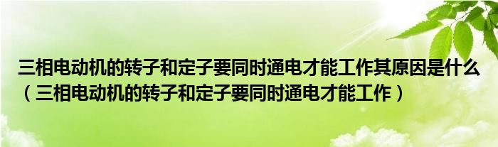 三相电动机的转子和定子要同时通电才能工作其原因是什么(三相电动机的转子和定子要同时通电才能工作)
