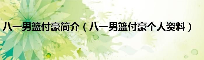八一男篮付豪简介(八一男篮付豪个人资料)
