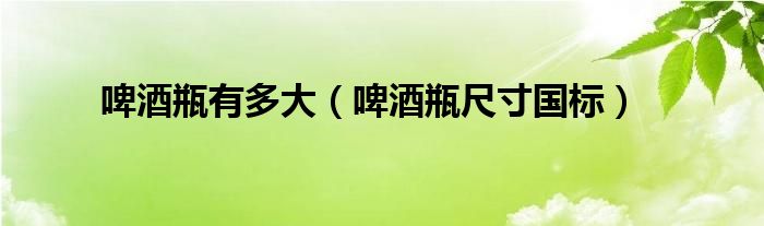 啤酒瓶有多大(啤酒瓶尺寸国标)