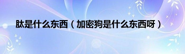 肽是什么东西(加密狗是什么东西呀)