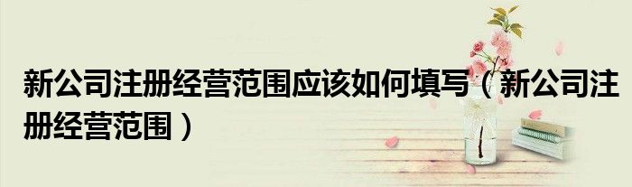 新公司注册经营范围应该如何填写(新公司注册经营范围)