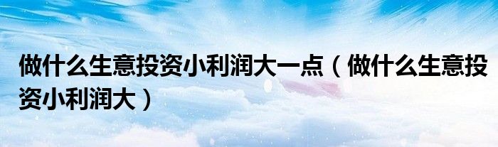 做什么生意投资小利润大一点(做什么生意投资小利润大)
