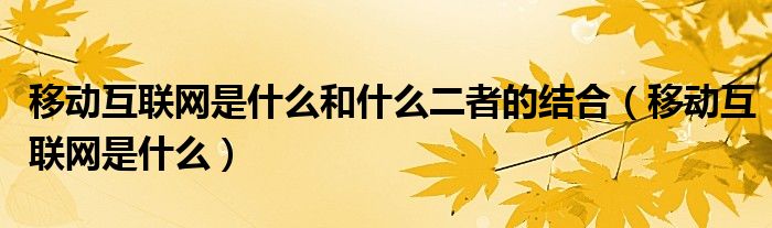 移动互联网是什么和什么二者的结合（移动互联网是什么）