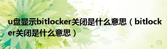 u盘显示bitlocker关闭是什么意思(bitlocker关闭是什么意思)