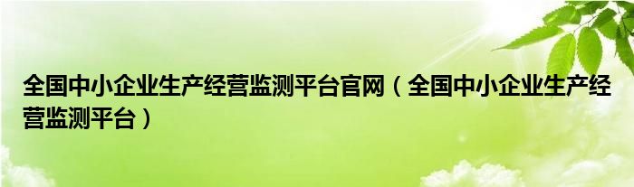 全国中小企业生产经营监测平台官网(全国中小企业生产经营监测平台)