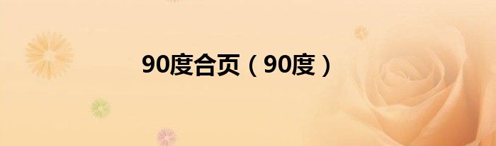 90度合页(90度)