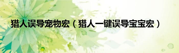 猎人误导宠物宏(猎人一键误导宝宝宏)
