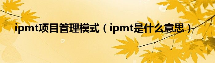 ipmt项目管理模式（ipmt是什么意思）