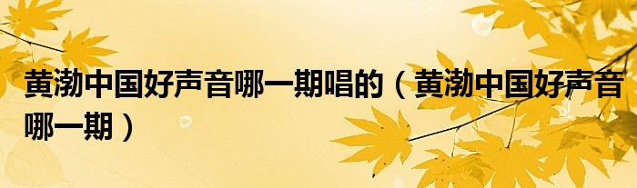 黄渤中国好声音哪一期唱的(黄渤中国好声音哪一期)