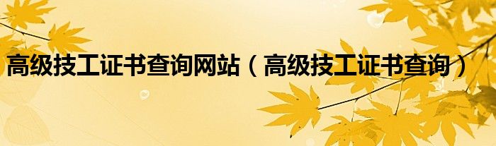 高级技工证书查询网站(高级技工证书查询)