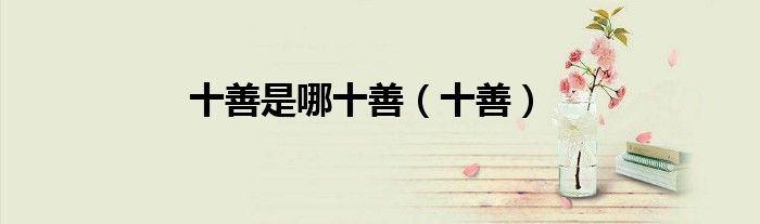 十善是哪十善（十善）