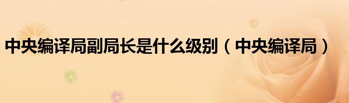 中央编译局副局长是什么级别(中央编译局)