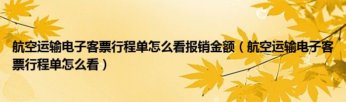 航空运输电子客票行程单怎么看报销金额(航空运输电子客票行程单怎么看)