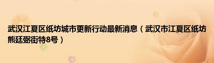 武汉江夏区纸坊城市更新行动最新消息(武汉市江夏区纸坊熊廷弼街特8号)