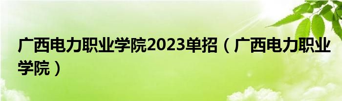 广西电力职业学院2023单招（广西电力职业学院）