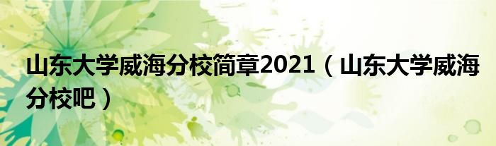 山东大学威海分校简章2021(山东大学威海分校吧)