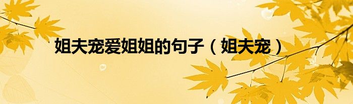 姐夫宠爱姐姐的句子(姐夫宠)