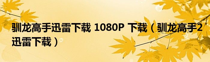 驯龙高手迅雷下载 1080P 下载(驯龙高手2迅雷下载)