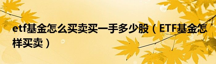 etf基金怎么买卖买一手多少股(ETF基金怎样买卖)