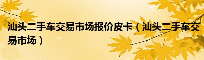 汕头二手车交易市场报价皮卡（汕头二手车交易市场）