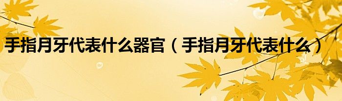 手指月牙代表什么器官(手指月牙代表什么)