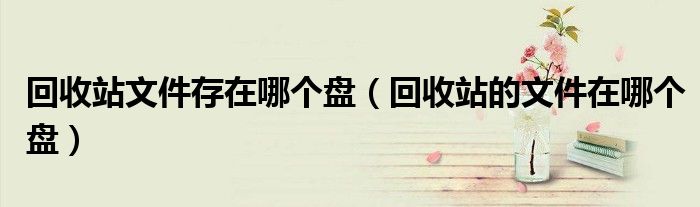 回收站文件存在哪个盘(回收站的文件在哪个盘)