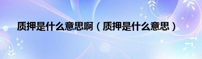 质押是什么意思啊(质押是什么意思)
